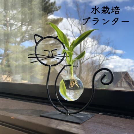 【ラッピング可】スチールワイヤーキャット（観葉植物付き）水栽培 グリーン 観葉植物 おしゃれ鉢 雑貨 ...