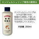 エンジェルシュリンプ 飼育水 1本 癒しエビ 熱帯魚 シュリンプ 飼育セット アクアリウム エビ 観賞 インテリア 手軽 初心者 癒し 癒しグッズ ホロホロシュリンプ ビクシーシュリンプ スカーレットシュリンプ おしゃれ オシャレ 観賞用 プレゼント ギフト 贈り物