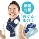 アイスバッグ 熱中症対策 氷のう 首 ネッククーラー 氷嚢 大口径 アイシングバッグ クールダウン ボトルホルダー キッズ 子供 アウトドア レジャー 発熱 怪我 熱中症 こども 暑さ対策グッズ アウトドア キャンプ 冷感 スポーツ 猛暑対策