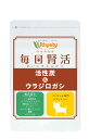 【メール便・送料無料】【初回半額クーポンプレゼント】犬用の腎...