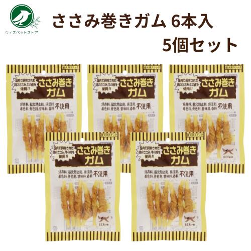 ���������ե����� ̵ź�å��꡼�� �����ߴ������� 6������5�ĥ��å� ������ �� ����� ����