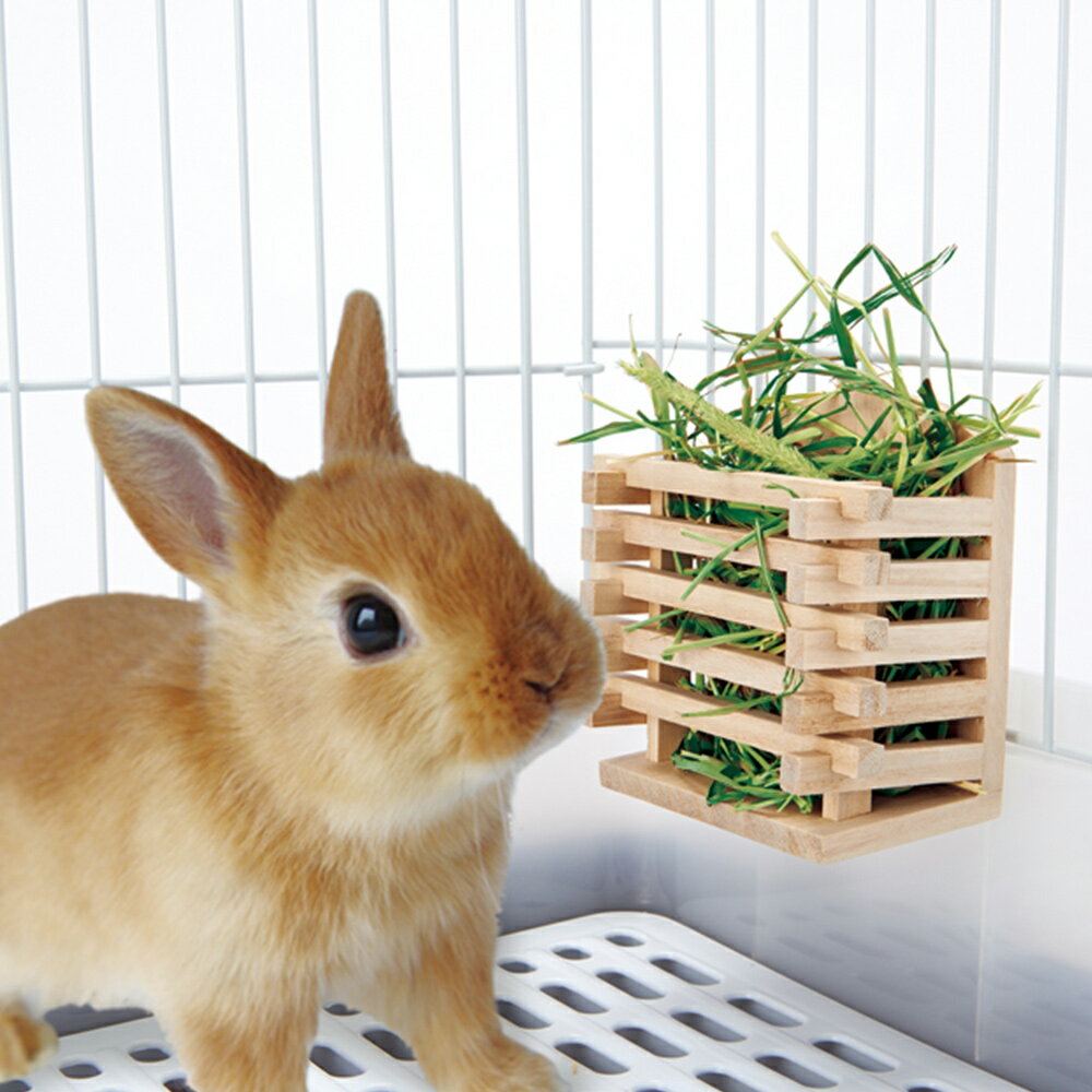 新生活 前からも横からもかじれる 牧草入れになるかじり木歯の伸びすぎ防止やストレス対策に うさぎ 牧草入れ マルカン かじり木牧草ボックス モルモット M 小動物用 チンチラ ストレス解消