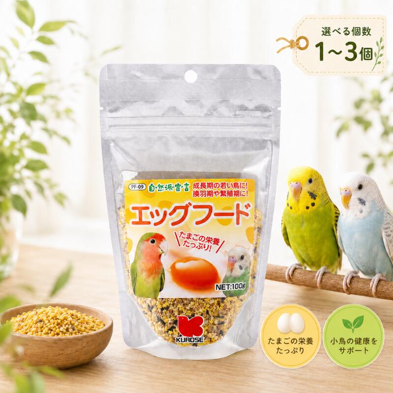 黒瀬ペットフード 自然派 エッグフード 100g インコ 鳥 おやつ 換羽期 繁殖期オリジナル バードトイ1個付き (1個)