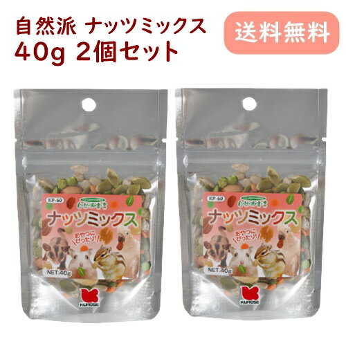 自然派 ナッツミックス 40g 2個セット 大型インコ ハムスター リス フクロモモンガ 小動物 エサ 1000円ポッキリ 買い回り