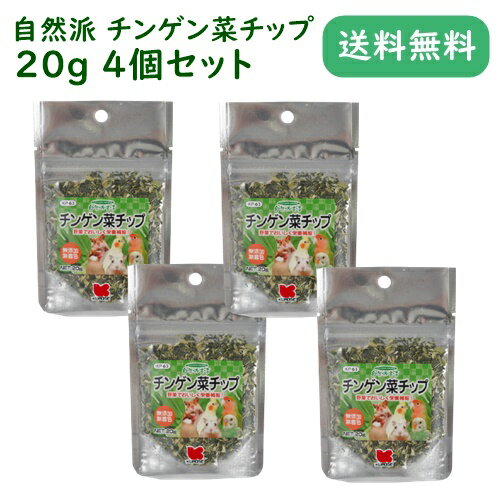 自然派 チンゲン菜チップ 20g 4個セット インコ ハムスター 小動物 おやつ ネコポス対応