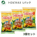 スドー フルーツ王国 トロピカル3 Lパック(160g) 3個セット うさぎ ハムスター 小動物 おやつ