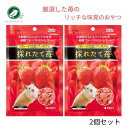 スドー フルーツ王国プレミアム 採れたて苺 46g 2個 3個 4個セット ハムスター フクロモモンガ おやつ