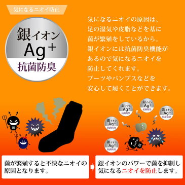 【送料無料】裏起毛タイツ レディース ストッキング 160デニール 抗菌 防臭 保湿 保温 銀イオン ブラック 2サイズ