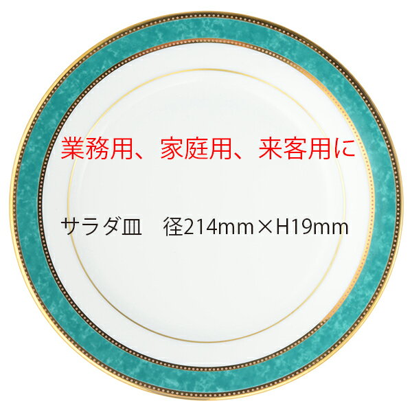 CANION WITS ベスビオ 9464 VESUVIO  あす楽対応 業務用 新生活 カフェ ランチ ディナー レストラン シンプル スタイリッシュ 上品 洋食器 使いやすい 陶器 人気 優雅 来客用 磁器 中皿 Ashford カフェ用食器 ポイント消化#ポーセラーツ 皿