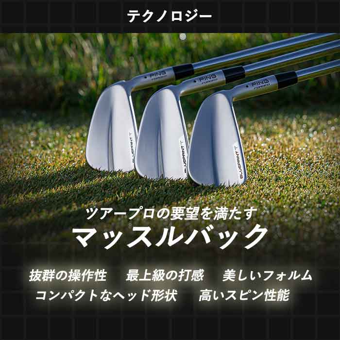 WIZARD54のピン ゴルフ PING BLUEPRINT T アイアン DG MID 115 5I~PW(6本セット) 日本正規品 ブループリント ツアー 青写真｜アングル3