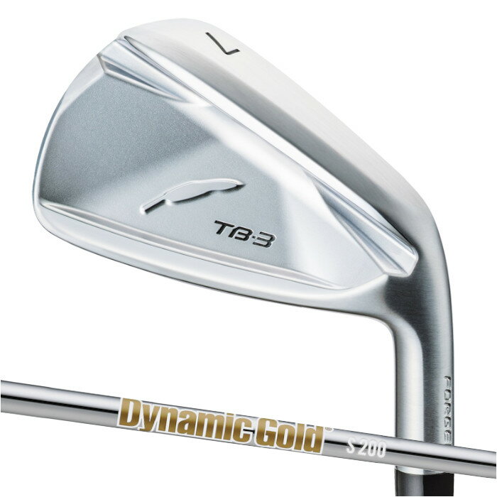 【メーカーカスタム】FOURTEEN フォーティーン TB-3 FORGED IRON EASY Dynamic Gold HT単品 ピュアフォージド