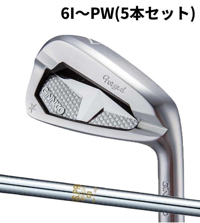 EON SPORTS - (カスタムクラブ)イオンスポーツ ジニコ EON GINNICO PC IRON N.S.PRO 850 6I～PW(5本セット)アイアン