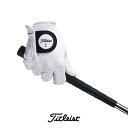 teB[ ^CgXg Titleist TG73 vtFbViO[u Ep(j Professional Glove St O[u VRrv