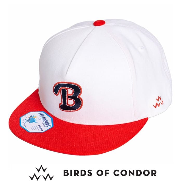バーズ・オブ・コンドル BIRDS OF CONDOR TEMC2F01 BALLER HAT キャップ オフホワイト 平つば フラット CAP