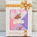 東京ディズニーリゾート ディズニー 通販 箱入り ミニ タオル ミニーマウス リボン おみやげ お土産 無料ギフトラッピング TDL ディズニーリゾート ディズ...