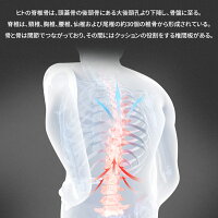 1年保証ねもみ Hzdmj 腰痛対策腰マッサージ腰マッサージャー温感マッサージ解消赤外線療法痩せるストレス解消筋肉痛 緩和緩和解消マッサージ機家庭用職場用敬老の日背中マッサージ器痩せる解消グッズ肩こり枕温め肩凝り肩コリねもみ首凝り首肩甲骨ホワイトデー Hzdmj 1年保証ねもみ Hzdmj 腰痛対策腰マッサージ腰マッサージャー温感マッサージ解消赤外線療法痩せるストレス解消筋肉痛 緩和緩和解消マッサージ機家庭用職場用敬老の日背中マッサージ器痩せる解消グッズ肩こり枕温め肩凝り肩コリねもみ首凝り首肩甲骨ホワイトデー Hzdmj
