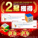 【 ランキング1位！】 【 正規販売店 】 【 あす楽 】 【紙の日本語マニュアル】 GANCUBE GAN356R S ステッカーレス 3x3 gan356rs 競技用 公式 立体パズル ガンキューブ 知育 誕生日 ギフト 保証 卒業 入学 お祝い 2