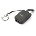 StarTech.com USB Type-C - DisplayPort 変換アダプタ キーホルダータイプ 4K/60Hz対応 CDP2DPFC(2)