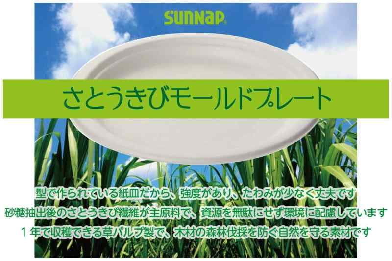 サンナップ さとうきびパルプモールド 23cm 50枚入り 【 紙皿 防災グッズ 使い捨て 取り皿 アウトドア ..