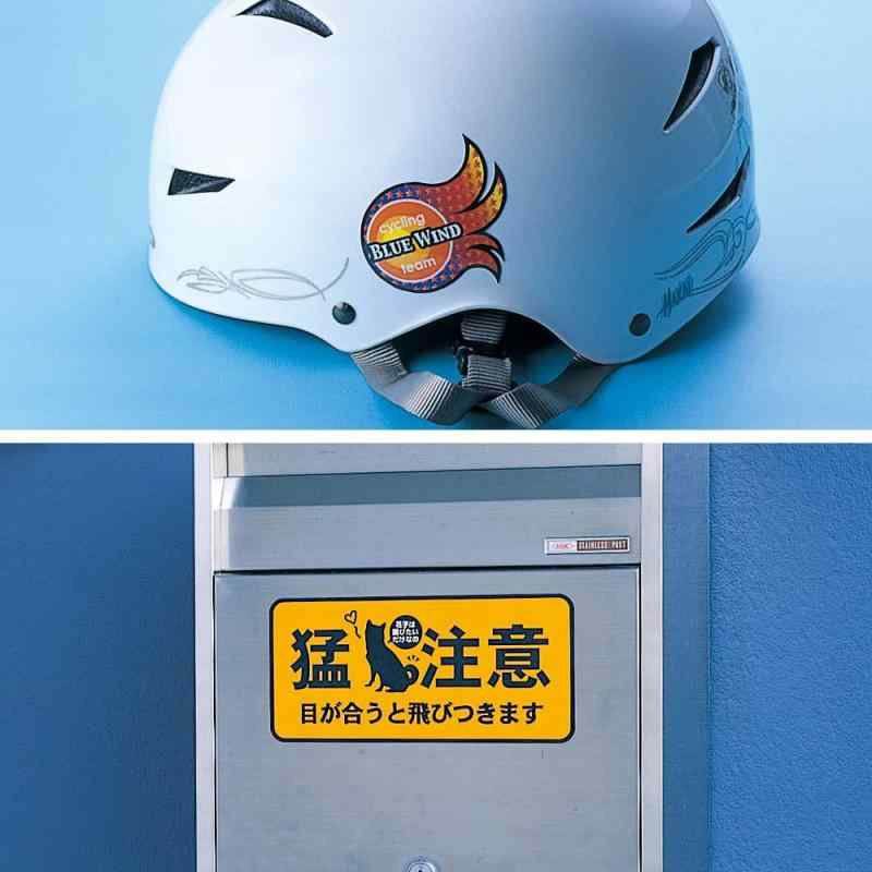 掠ץ饤 쥤ˤϤꥹƥåå JP-STK01N