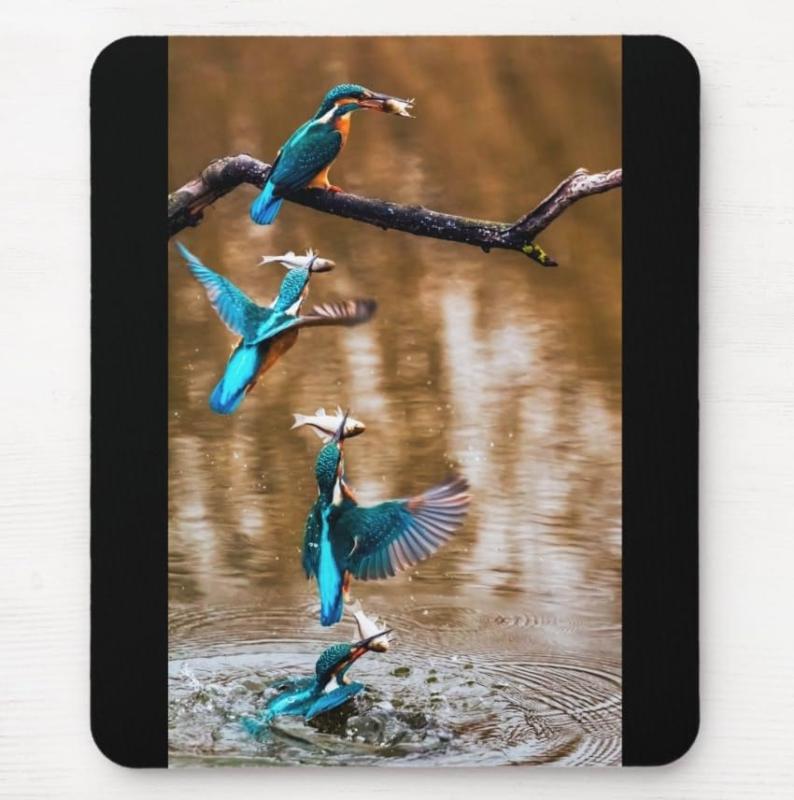 カワセミの捕食シーンのマウスパッド：フォトパッド（ 世界の野鳥シリーズ ）、黒地