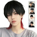フルウィッグ 女性 ショート 髪型 ウィッグ レディース メンズ 自然 かわいい ファッション おしゃれ 20代 30代 40代 可愛い ヘアウィッグ 脱毛症 白髪隠す ウィッグネット付き ブラック ブラウン レッド グラデーション 混色 かぶるだけ 男女兼用 コスプレ かつら 送料無料(4)