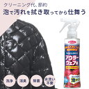 4月度月間優良ショップ受賞 4/30迄使用可能クーポン発行 今なら店内全品P10倍【公式】部分洗い 洗剤 アウターウェア用 洗濯洗剤 消臭剤 スプレー おしゃれ...