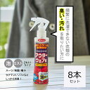 4月度月間優良ショップ受賞 4/30迄使用可能クーポン発行 今なら店内全品P10倍 【35%OFF】部分洗い 洗剤 消臭剤 スプレー おしゃれ着洗い 汗ジミ エ...