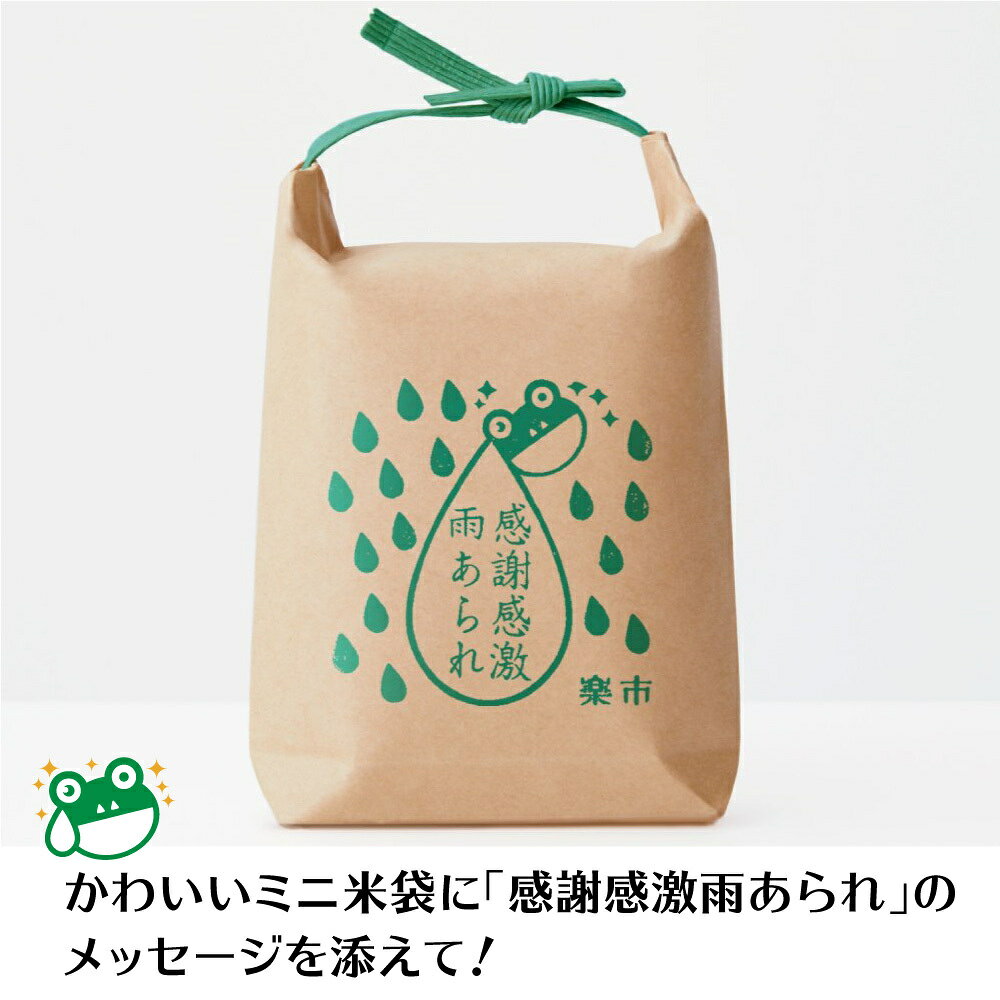 感謝感激雨あられ 米袋 こぶ塩 あられ おかき 甘くない ギフト プチギフト プレゼント ご挨拶 ありがとう お世話になりました 退職 転職 お菓子 お返し をかし楽市 粋あられ 可愛い メッセージ 国産 もち米 お礼 500円 会社 おしゃれ 法人 慰労品 デパ地下 秋 敬老の日 wokashirakuichi-10000020 をかし楽市 サンプル画像3