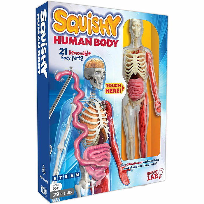 楽天Wolfgang G解剖学 ぐにゃぐにゃ　人体学習ツール　Smart Lab Toys Squishy Human Body Science Set