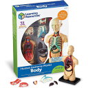 人体模型 31ピース 人体学習ツール 人体パズル Learning Resources Human Body Model, 31 Pieces(4)