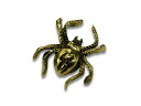 【SKULL FLIGHT/スカルフライト】「Spider Pins/スパイダーピンズ」(Brass)(CALIFORNIA LINE/カリフォルニアライン/ハーレー/バイカー/ホットロッド/アメカジ/ホイールズアパレル/アクセサリー/プレゼント/WOLF PACK/ウルフパック)(4)