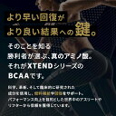 エクステンド ウォーターメロンエクスプロージョン味 390g 30回分 Scivation サイベーション XTEND オリジナル 3