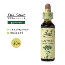 l\ob` ob`IWit[ fB Zg[[ 20ml (0.7floz) Nelson Bach Original Flower Remedy Centaury t[GbZX