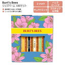 バーツビーズ バームブーケ リップバーム 4本セット 各4.25g (0.15oz) Burt 039 s Bees Lip Balm Bouquet リップクリーム