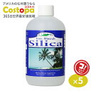 イオニックミネラル シリカ 533ml (18oz) 36回分 Eidon Mineral Supplements (エイドン ミネラル サプリメント) ミネラル 健康 サプリメント リキッド 栄養 ケイ素 1