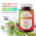 エクレクティック ケール フレッシュフリーズドライ 粉末パウダー 90g Kale Powder 3.2oz Eclectic Institute 青汁 野菜 美容 野菜の王様 食物繊維 ミネラル 2