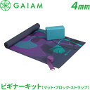 【隠れた名品】ヨガビギナーキット(マット・ブロック・ストラップ) イリーシャドウ YOGA FOR BEGINNERS KIT