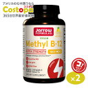 ナトロール ビタミンB-12 チュワブル 5000mcg 100粒 Natrol Vitamin B-12 Fast Dissolve Tablets Chewable ストロベリー味