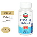 C-500mg バッファード タイムリリース型 100粒 タブレット KAL（カル）習慣 美容 健康 対策 喫煙 人気