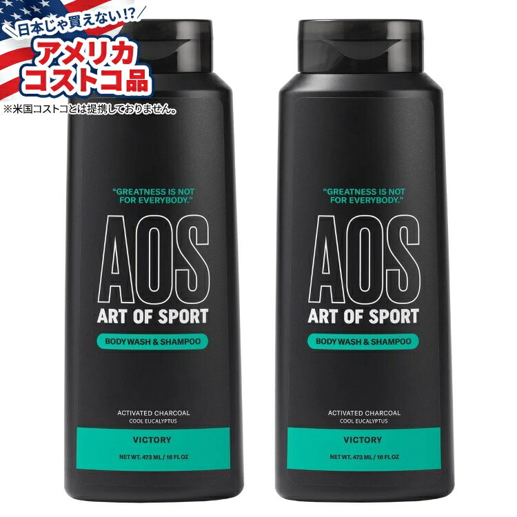 【アメリカフェア】アート オブ スポーツ メンズ 2-in-1 ボディウォッシュ＆シャンプー ビクトリー 16 ..