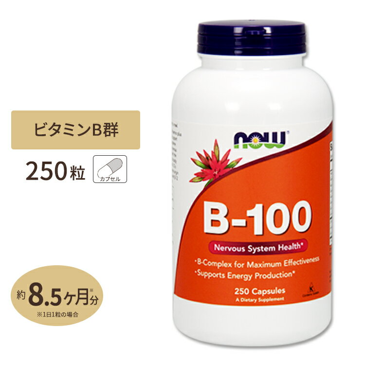 ビタミンB-100 250粒 約8ヶ月分 NOW Foods (ナウフーズ)[お得サイズ] 1