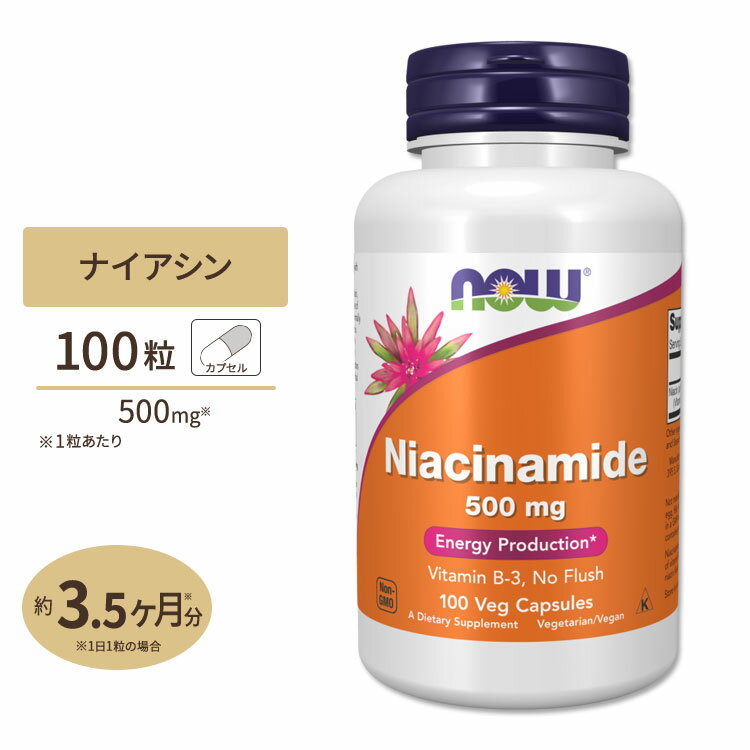 ナウフーズ ナイアシンアミド ビタミンB3 500mg 100粒 NOW Foods Niacinamide (B-3) イキイキとした毎日 エナジーチャージ 補酵素