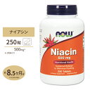 ナイアシン 500mg 250粒 NOW Foods(ナウフーズ) 【全品ポイント5倍★11月19日18:00-12月2日9:59迄】