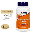 パントテン酸 (ビタミンB5) 500mg 100粒 NOW Foods (ナウフーズ)