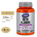 NOW Foods ベータアラニン 750mg 120粒 ベジカプセル ナウフーズ Beta-Alanine 750mg - 120Veg Capsules