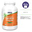 ナウフーズ スピルリナ オーガニックパウダー 454g (1 LB) NOW Foods ORG SPIRULINA POWDER 1 LB 栄養補助食品 グリーンスーパーフード ガンマリノレン酸