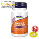 ナウフーズ ルテイン&ゼアキサンチン サプリメント 60粒 NOW Foods Lutein & Zeaxanthin ソフトジェル