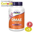 iEt[Y DMAE 250mg xWJvZ 100 NOW Foods DMAE W`A~mG^m[