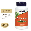 エキナセア 400mg 100粒 NOW Foods (ナウフーズ)